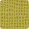 0054 Cactus