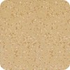 0280 Coccinea